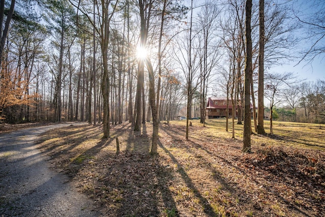 view of yard with a wooden deck and dirt driveway