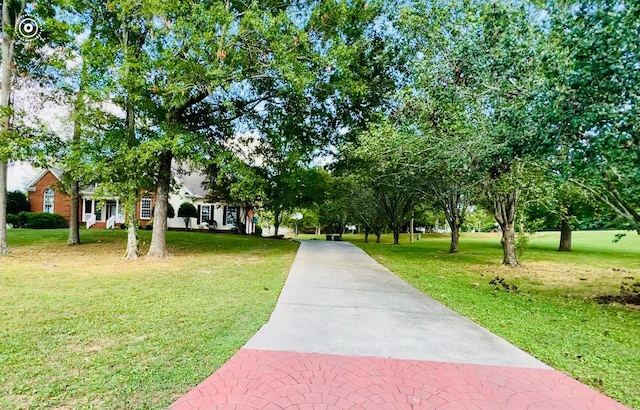 view of home's community with a lawn