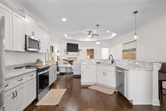 kitchen with a breakfast bar, stainless steel appliances, a tray ceiling, ceiling fan, and white cabinetry