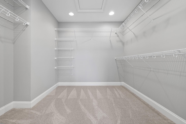 spacious closet featuring carpet floors