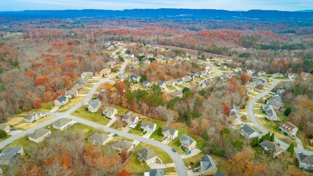 birds eye view of property featuring a mountain view