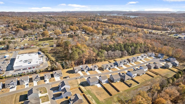 bird's eye view