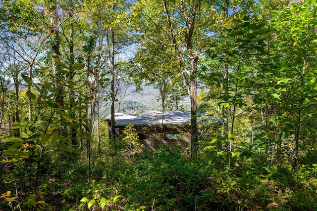9193 Scenic Hwy, Lookout Mountain, GA 30750 - photo 31