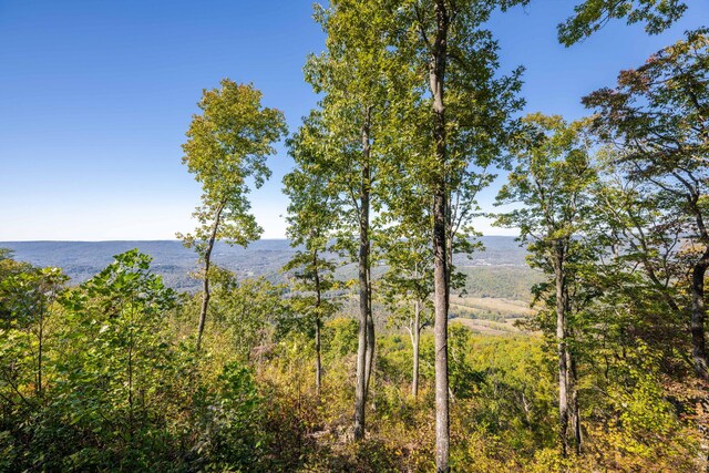 9193 Scenic Hwy, Lookout Mountain, GA 30750 - photo 27