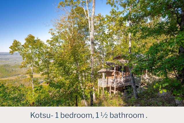 9193 Scenic Hwy, Lookout Mountain, GA 30750 - exterior view