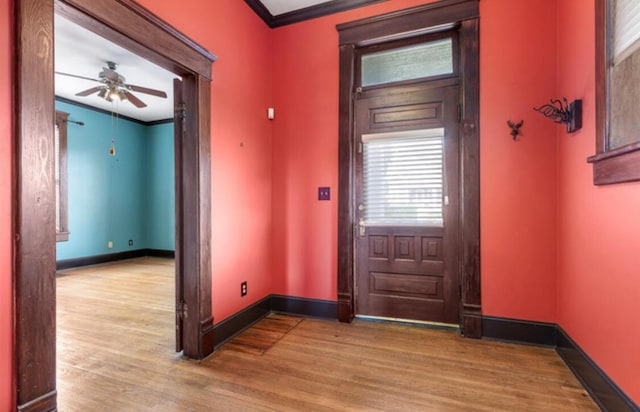 entrance foyer featuring ceiling fan, ornamental molding, and light hardwood / wood-style flooring