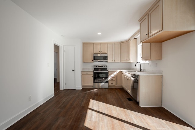 kitchen with light brown cabinets, sink, and stainless steel appliances