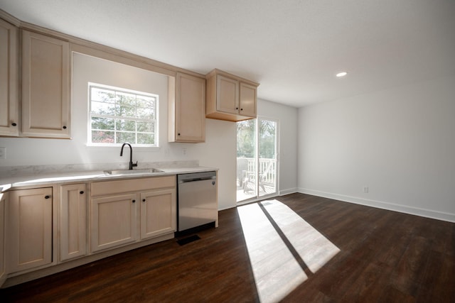 kitchen with dark hardwood / wood-style floors, stainless steel dishwasher, plenty of natural light, and sink