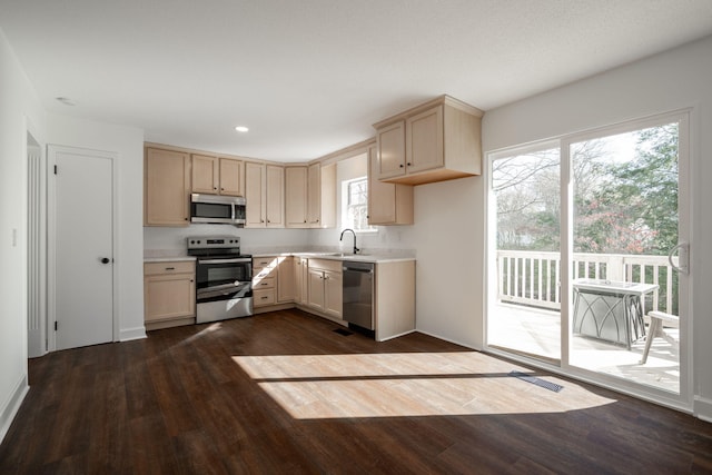 kitchen featuring light brown cabinetry, stainless steel appliances, dark wood-type flooring, and sink