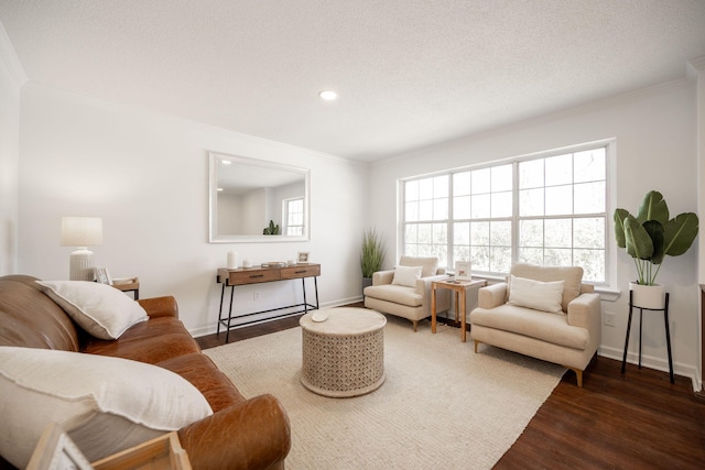 living room featuring dark hardwood / wood-style flooring, ornamental molding, and a textured ceiling