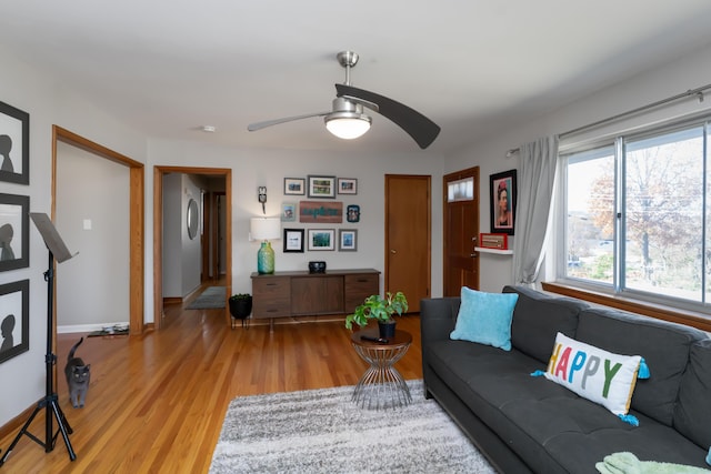 living room featuring ceiling fan and light hardwood / wood-style floors