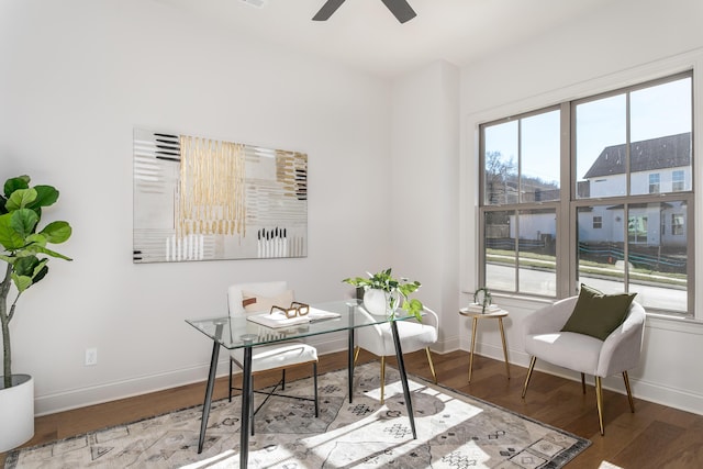 office featuring hardwood / wood-style flooring and ceiling fan