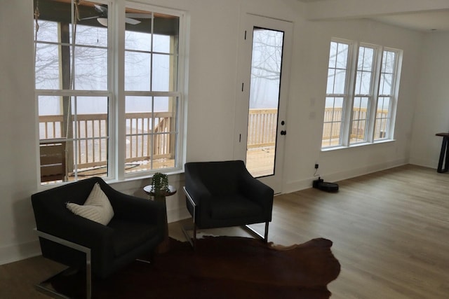 living area with ceiling fan and wood-type flooring