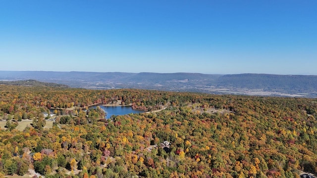 birds eye view of property featuring a water and mountain view