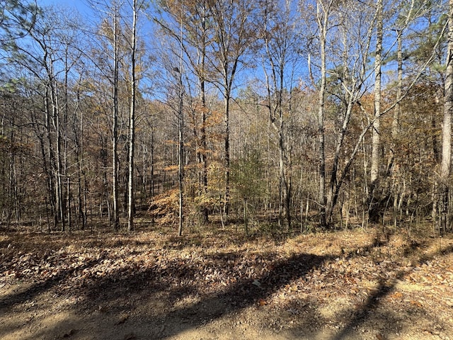 Listing photo 3 for 28ACRES County Road 917, Collinsville AL 35961