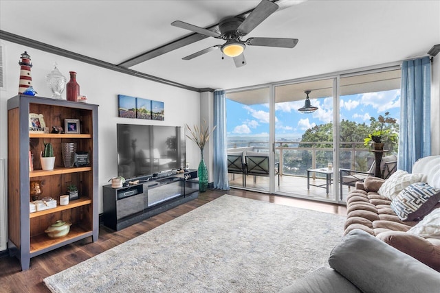 living room with ceiling fan, floor to ceiling windows, dark hardwood / wood-style flooring, and ornamental molding