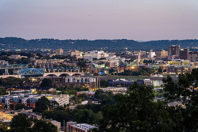 property's view of city featuring a mountain view