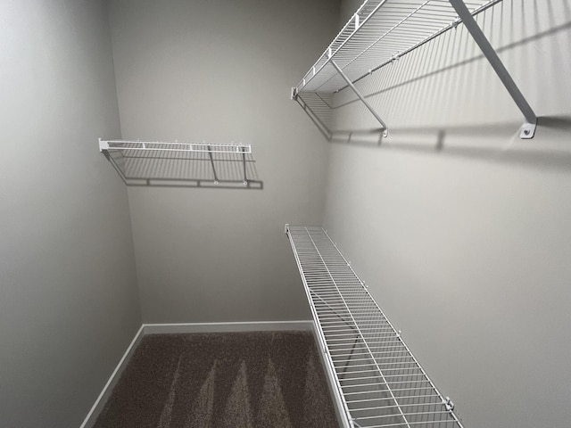 walk in closet featuring dark colored carpet