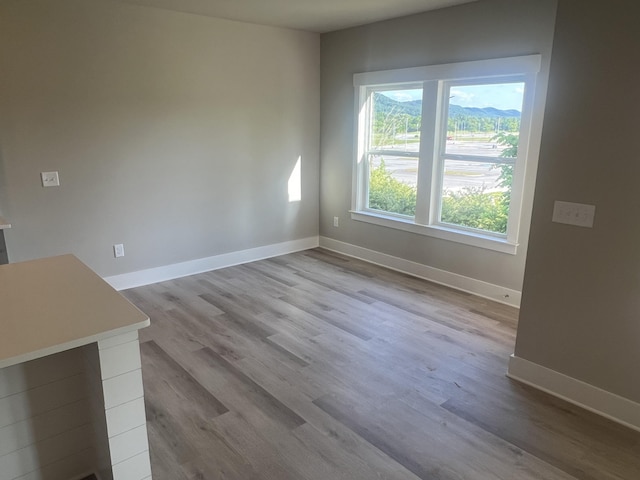 interior space featuring light hardwood / wood-style floors