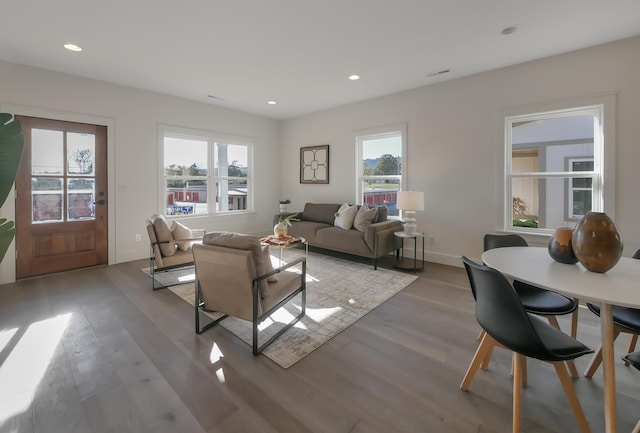 living room with light wood-type flooring and plenty of natural light