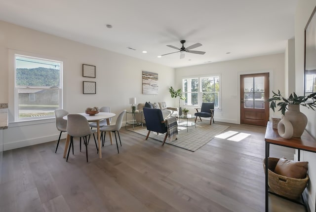 dining room featuring ceiling fan, plenty of natural light, and hardwood / wood-style flooring