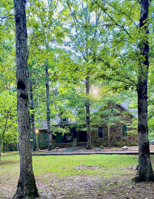 view of front of home with a front yard