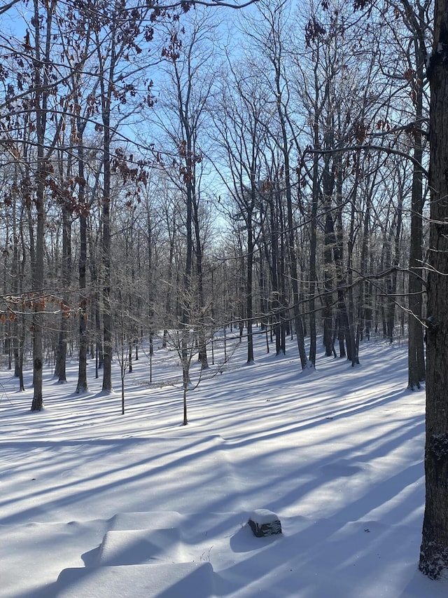 view of snowy yard