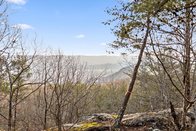 0 Brockdell Rd, Pikeville TN, 37367 land for sale