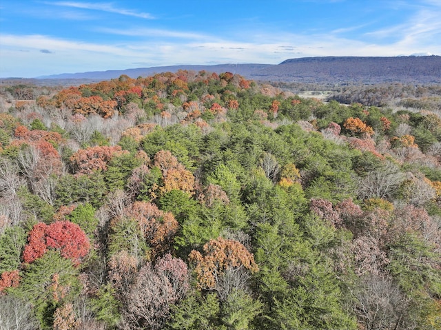 0 Ketchersid Ln, Whitwell, TN 37397