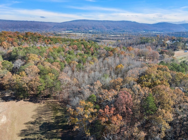 0 Ketchersid Ln, Whitwell, TN 37397
