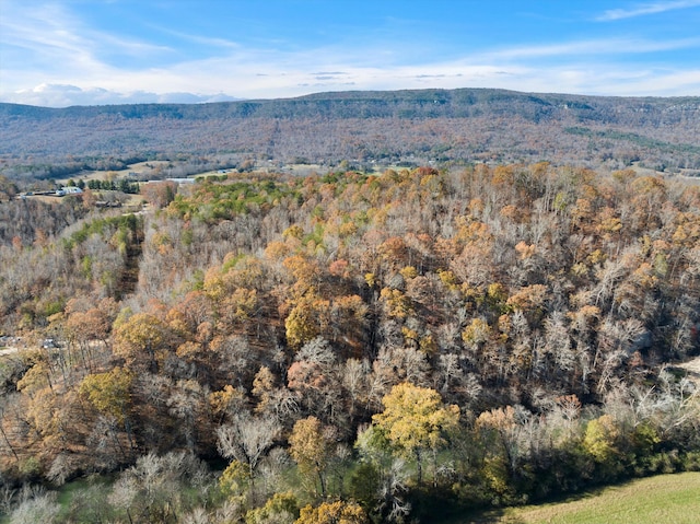 0 Ketchersid Ln, Whitwell, TN 37397