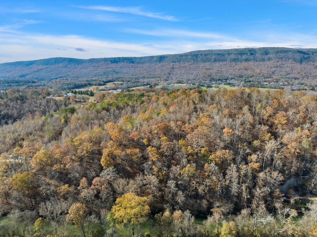 0 Ketchersid Ln, Whitwell, TN 37397