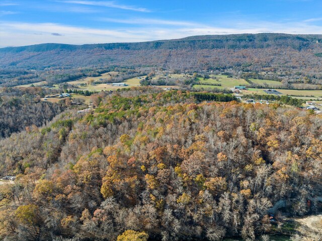 0 Ketchersid Ln, Whitwell, TN 37397
