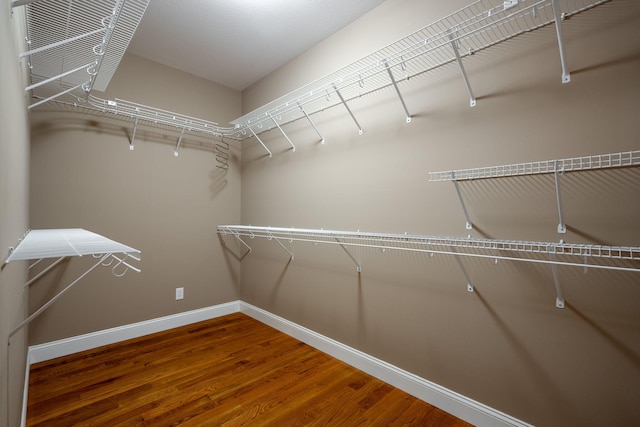 spacious closet with hardwood / wood-style flooring