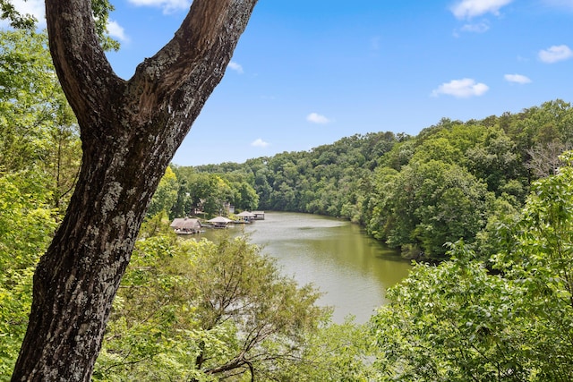 water view featuring a view of trees