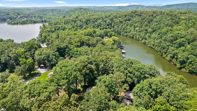 birds eye view of property featuring a forest view and a water view