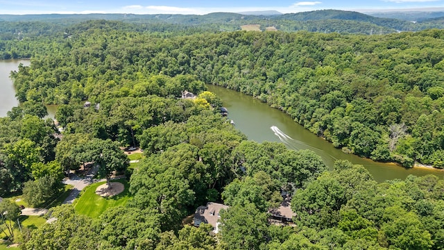 birds eye view of property with a forest view and a water view