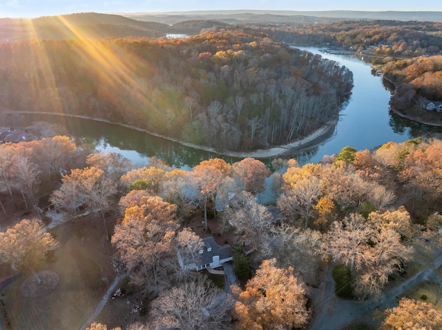 birds eye view of property with a water view and a view of trees