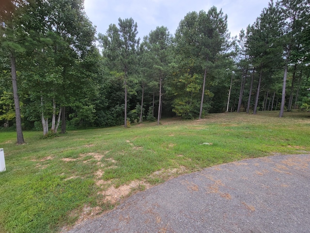 Listing photo 3 for 300 Deer Ridge Pt Unit 190, Jasper TN 37347