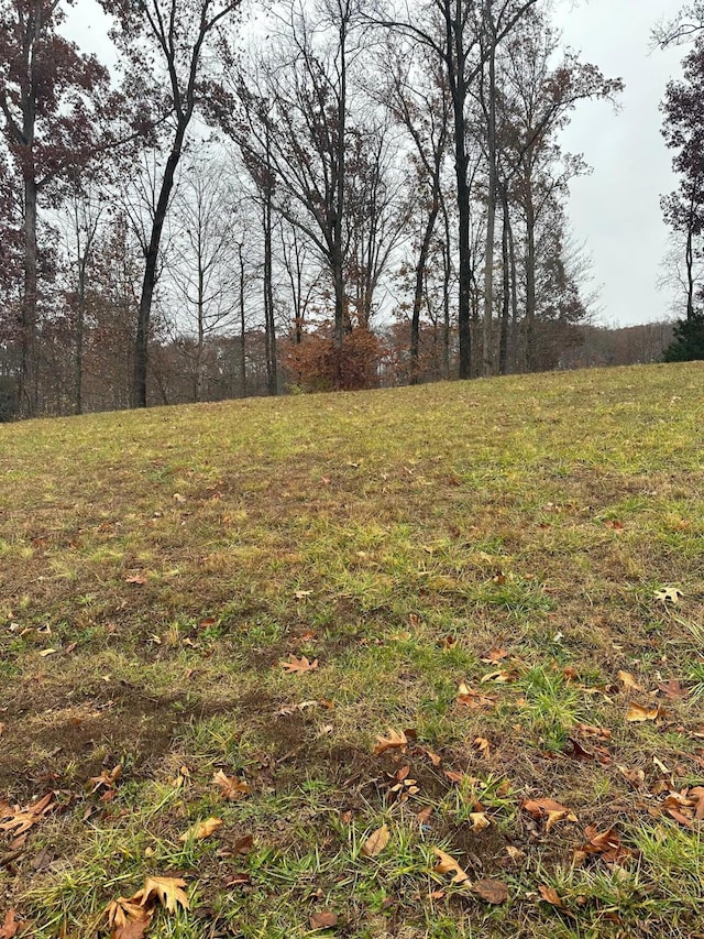 LOT12 Ridge Park Dr NE, Cleveland TN, 37311 land for sale