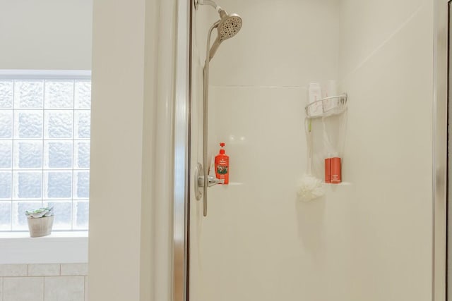 425 Wildewood Trl, Chickamauga, GA 30707 - interior details featuring a shower stall