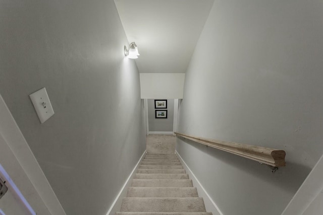 425 Wildewood Trl, Chickamauga, GA 30707 - stairway with baseboards and carpet floors