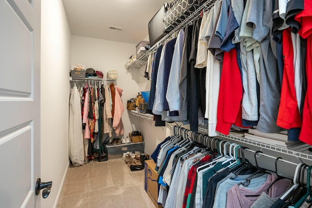 walk in closet featuring carpet floors