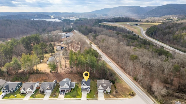 drone / aerial view featuring a mountain view