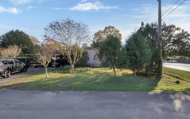 view of front of property with a front lawn