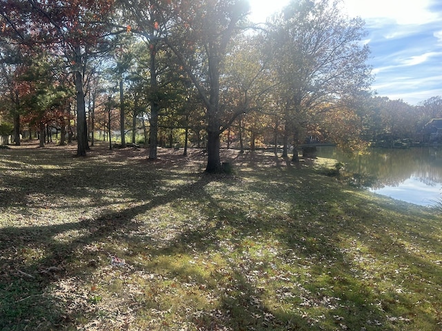 view of yard with a water view