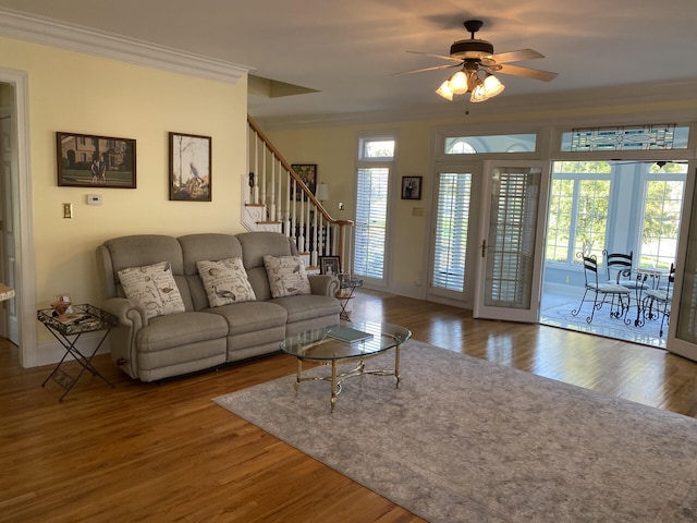 living room featuring crown molding, ceiling fan, and dark hardwood / wood-style floors