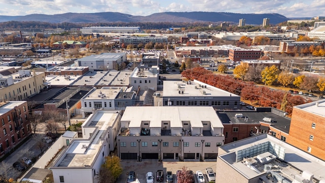 birds eye view of property with a mountain view