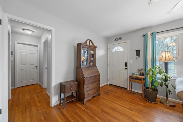 foyer with wood-type flooring