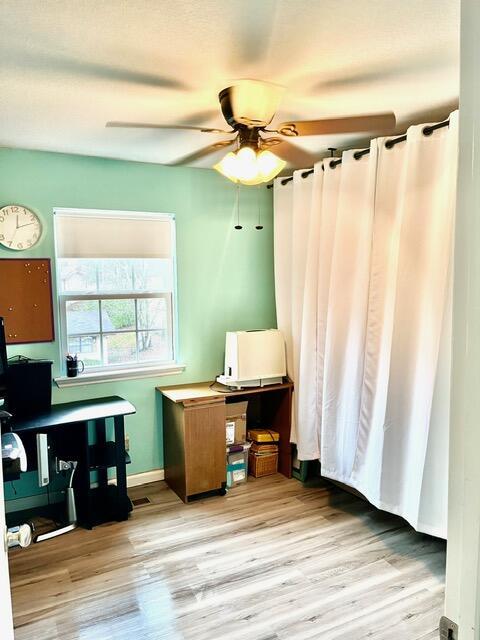 office space featuring ceiling fan and light wood-type flooring